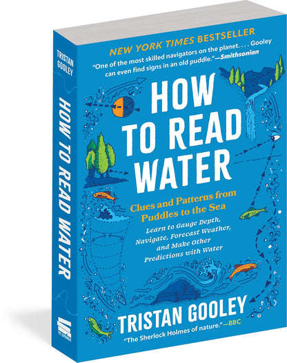 How to Read Water: Clues and Patterns from Puddles to the Sea