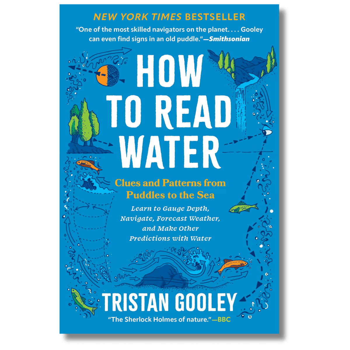 How to Read Water: Clues and Patterns from Puddles to the Sea
