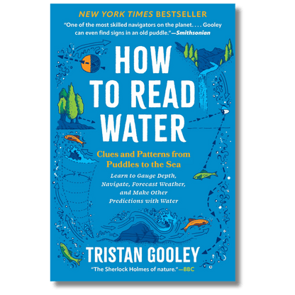 How to Read Water: Clues and Patterns from Puddles to the Sea