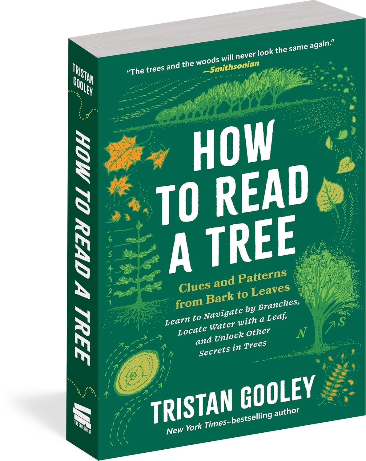 How to Read a Tree: Clues and Patterns from Bark to Leaves