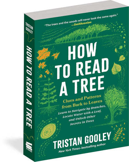 How to Read a Tree: Clues and Patterns from Bark to Leaves
