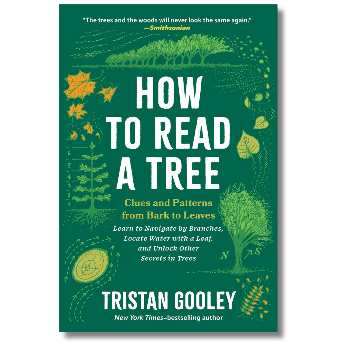 How to Read a Tree: Clues and Patterns from Bark to Leaves