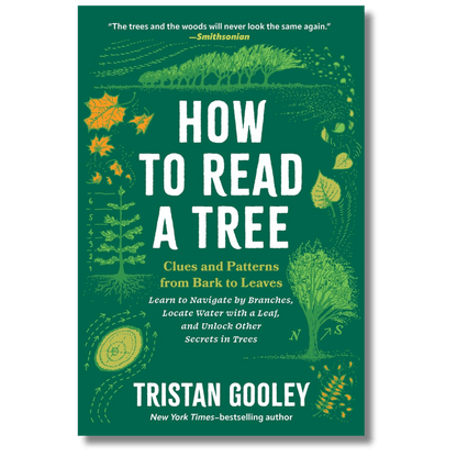 How to Read a Tree: Clues and Patterns from Bark to Leaves