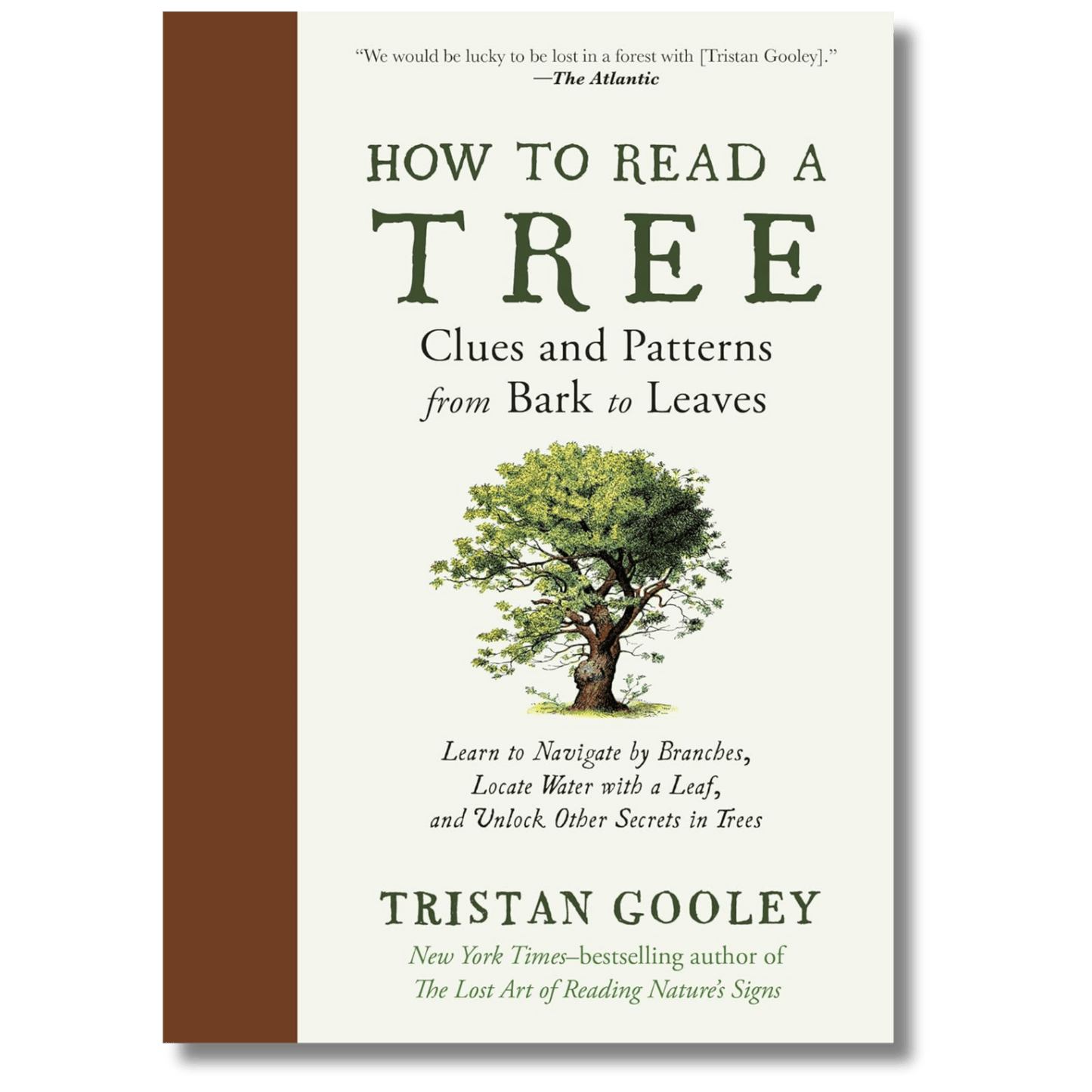 How to Read a Tree: Clues and Patterns from Bark to Leaves