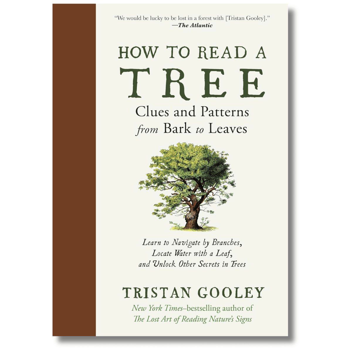 How to Read a Tree: Clues and Patterns from Bark to Leaves – The ...