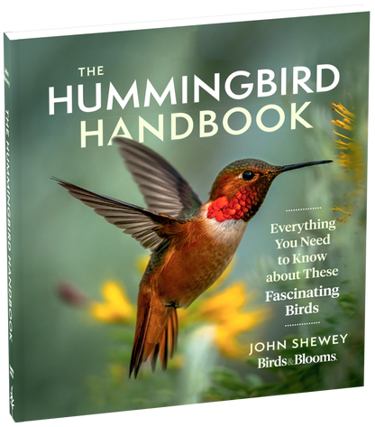 The Hummingbird Handbook: Everything You Need to Know about These Fascinating Birds