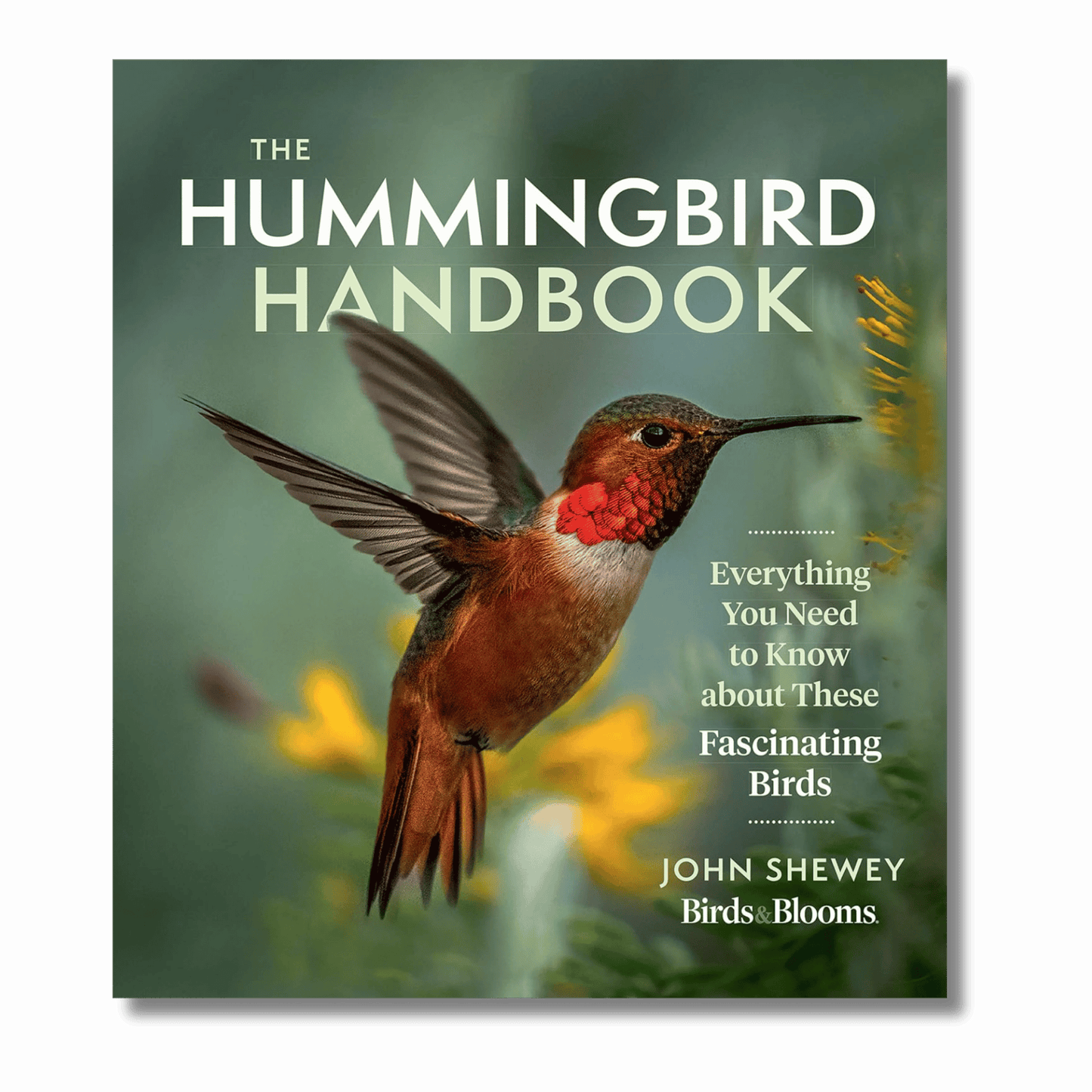 The Hummingbird Handbook: Everything You Need to Know about These Fascinating Birds
