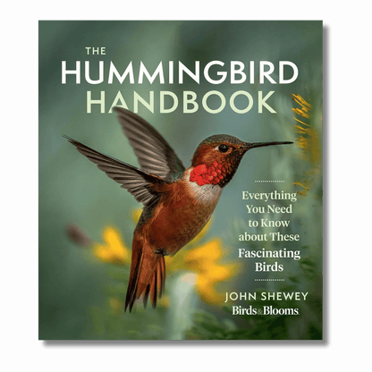 The Hummingbird Handbook: Everything You Need to Know about These Fascinating Birds