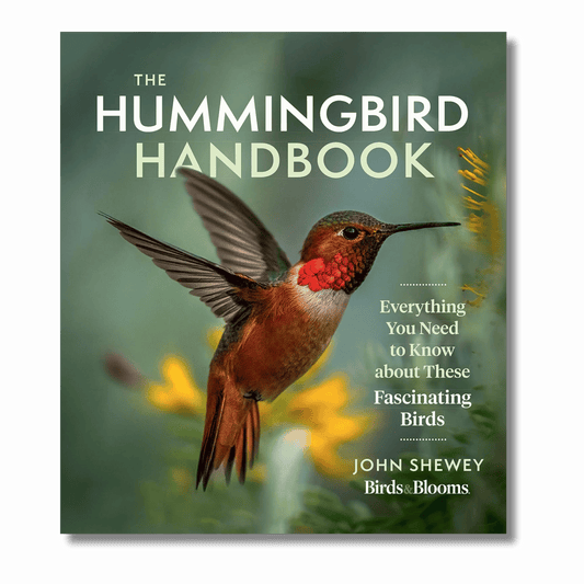 The Hummingbird Handbook: Everything You Need to Know about These Fascinating Birds