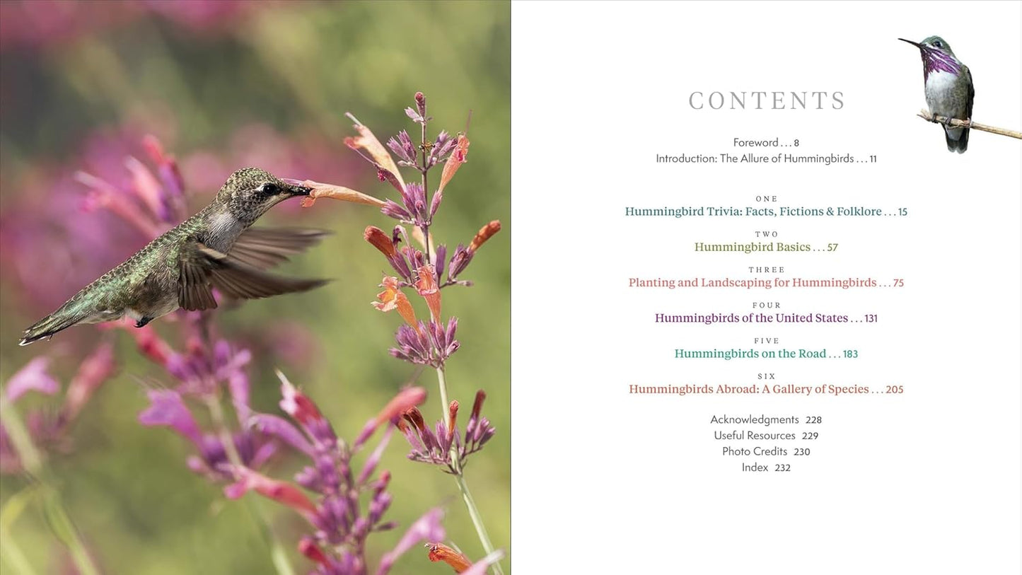 The Hummingbird Handbook: Everything You Need to Know about These Fascinating Birds