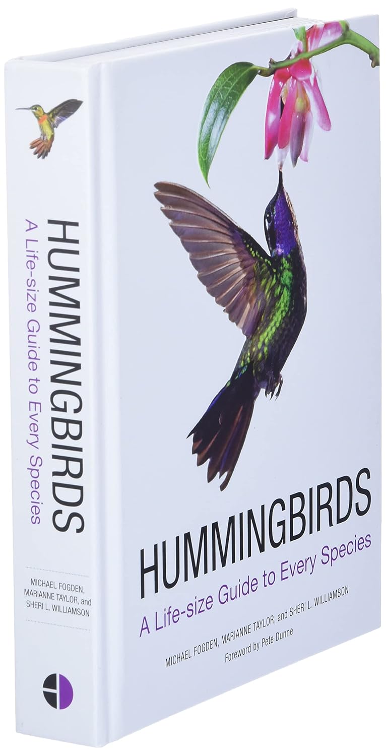 Hummingbirds: A Life-size Guide to Every Species