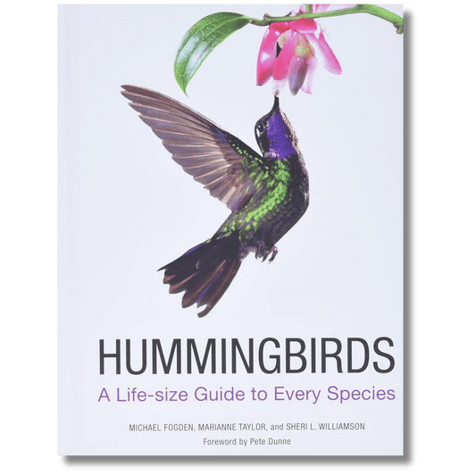 Hummingbirds: A Life-size Guide to Every Species