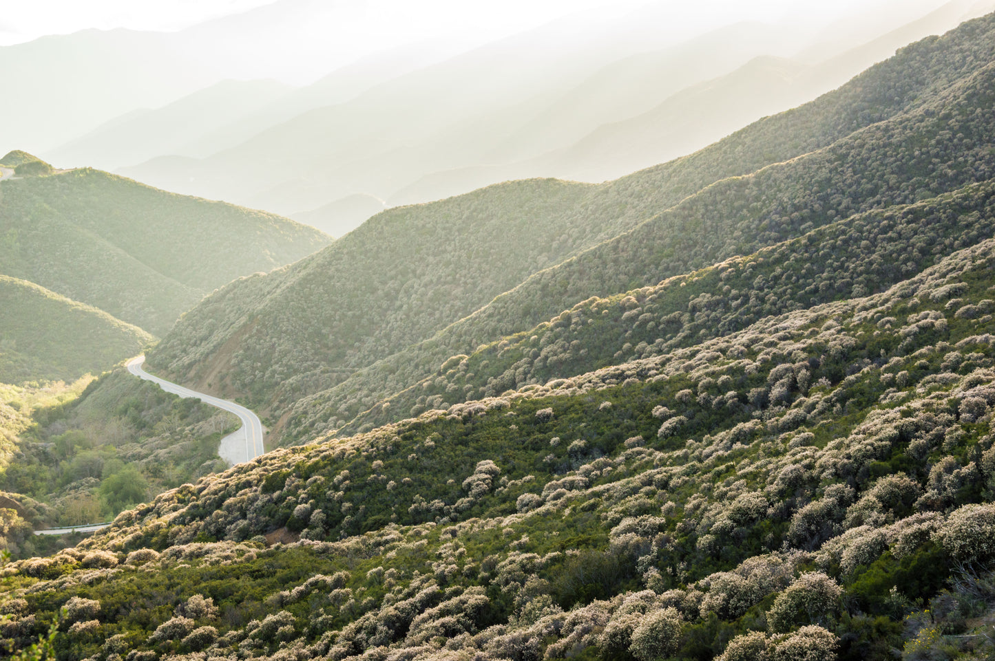 Highway 33 Sespe Sticker