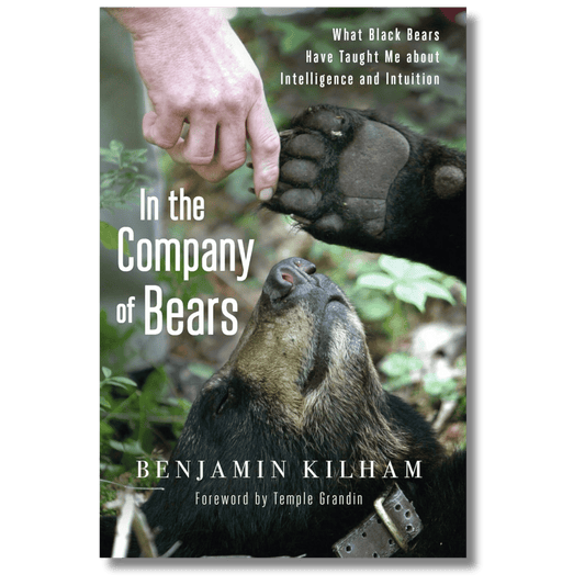 In the Company of Bears: What Black Bears Have Taught Me about Intelligence and Intuition