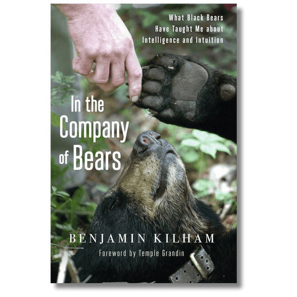 In the Company of Bears: What Black Bears Have Taught Me about Intelligence and Intuition