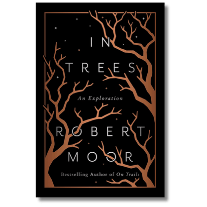 In Trees: An Exploration