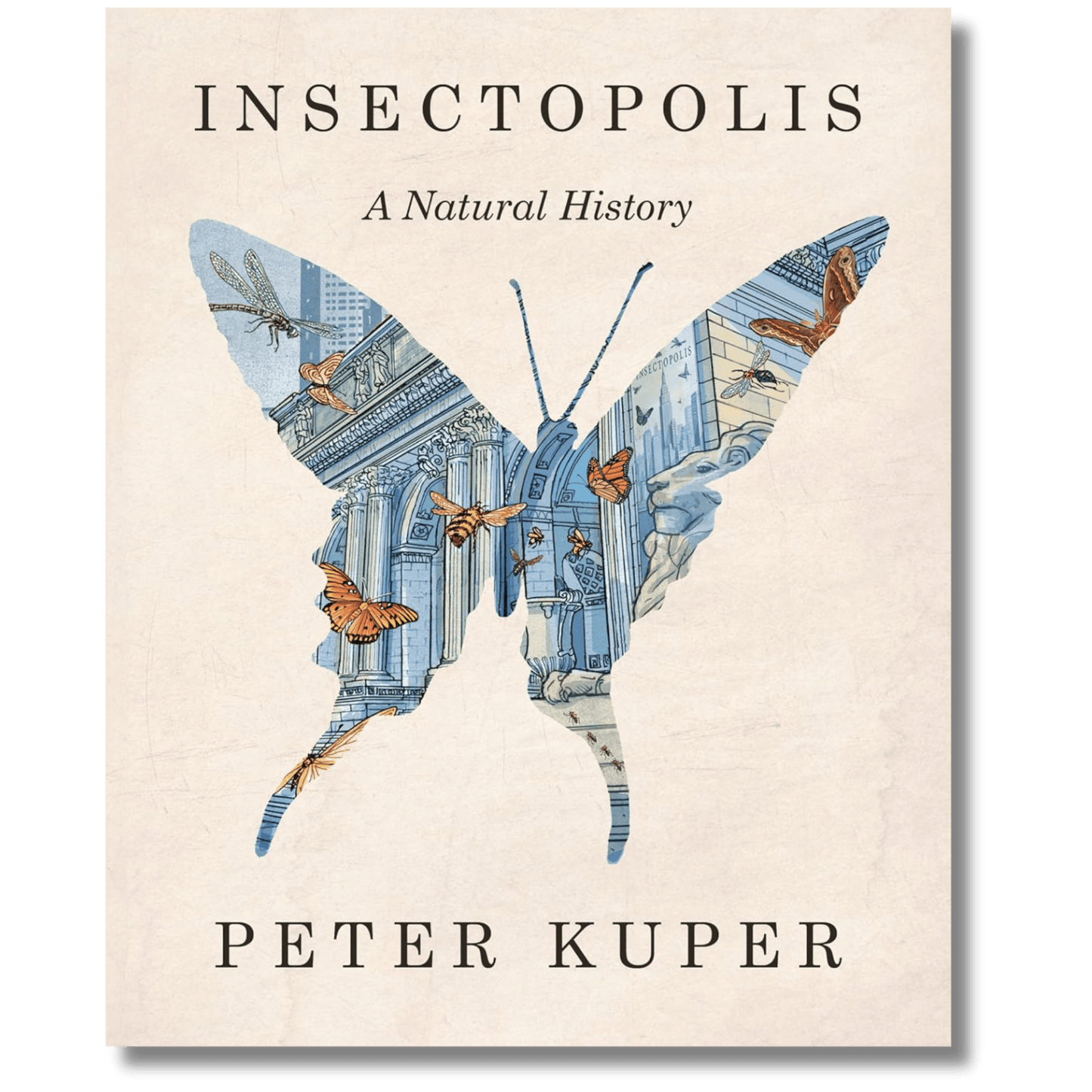 Insectopolis: A Natural History