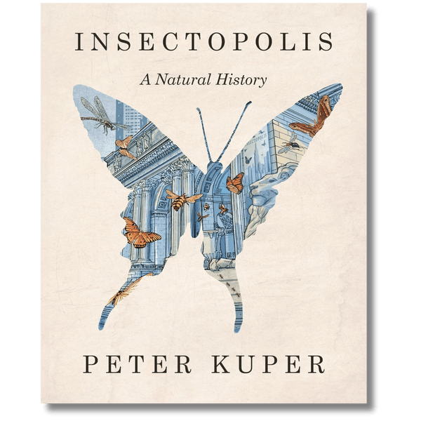Insectopolis: A Natural History