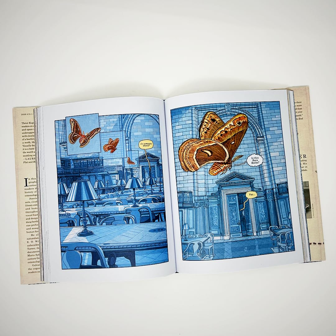 Insectopolis: A Natural History