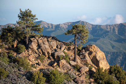 Highway 33 Sespe Sticker