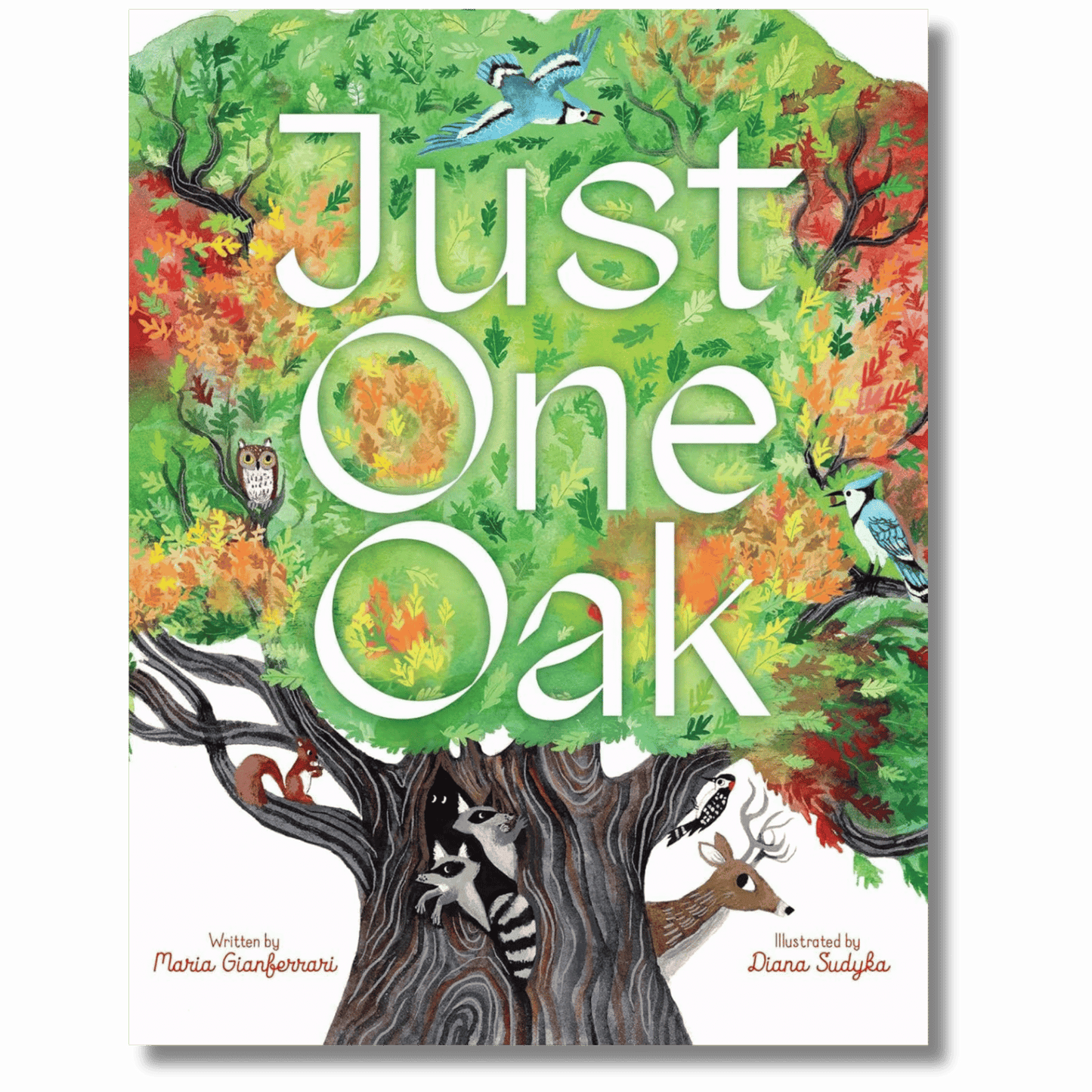 Just One Oak: What a Single Tree Can Be