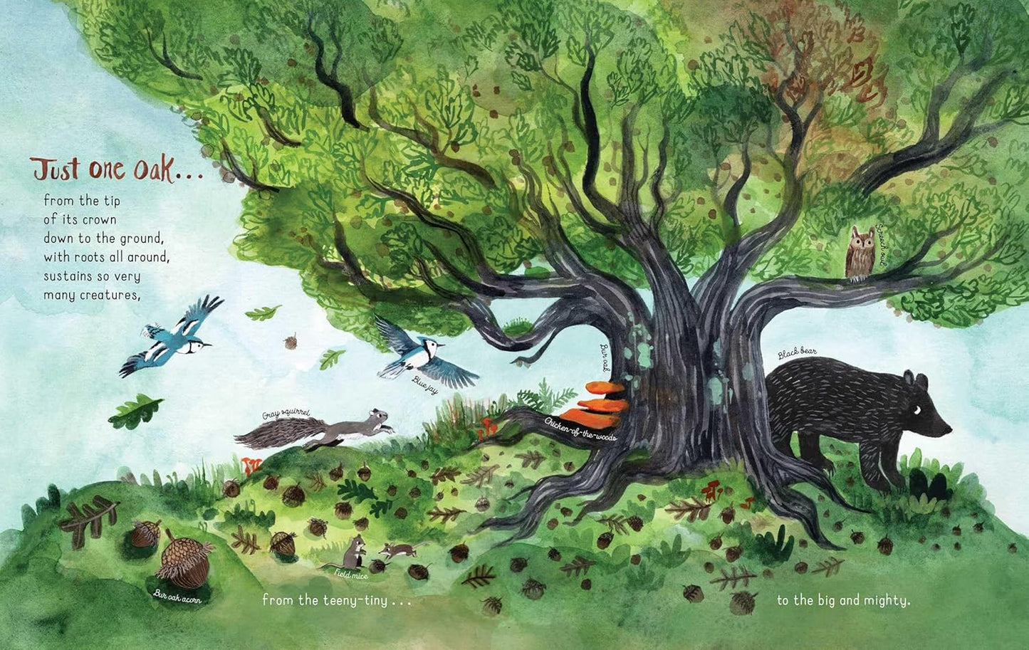 Just One Oak: What a Single Tree Can Be
