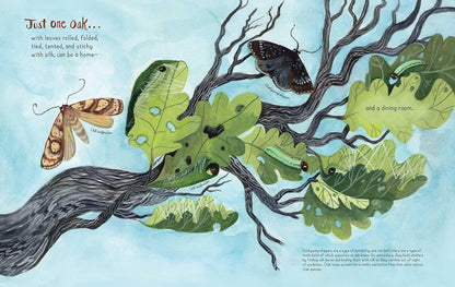 Just One Oak: What a Single Tree Can Be