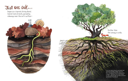 Just One Oak: What a Single Tree Can Be