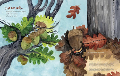 Just One Oak: What a Single Tree Can Be