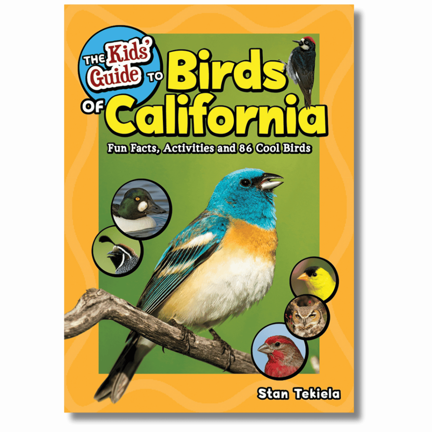 Kids’ Guide to Birds of California