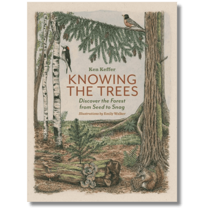 Knowing the Trees: Discover the Forest from Seed to Snag