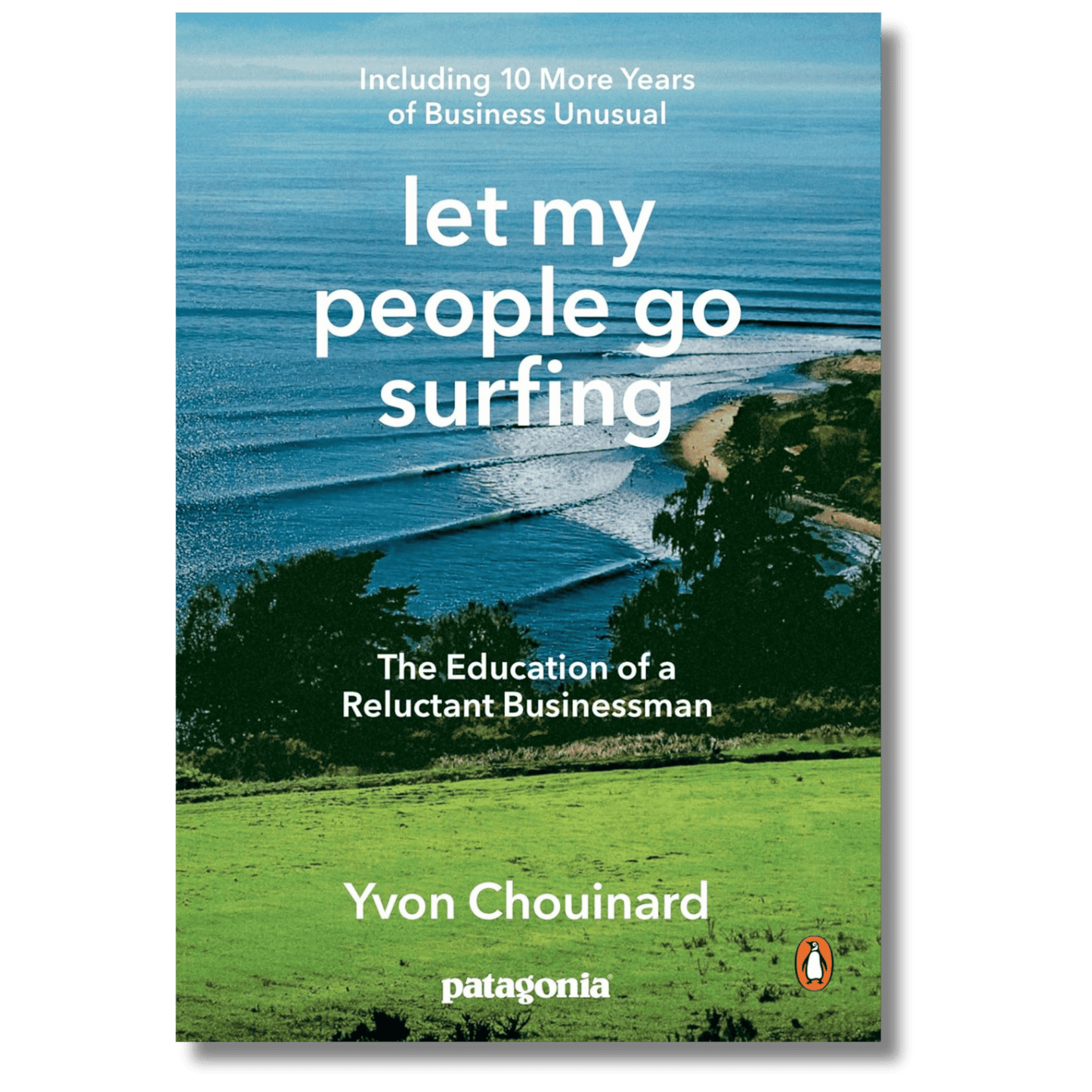 Let My People Go Surfing: The Education of a Reluctant Businessman