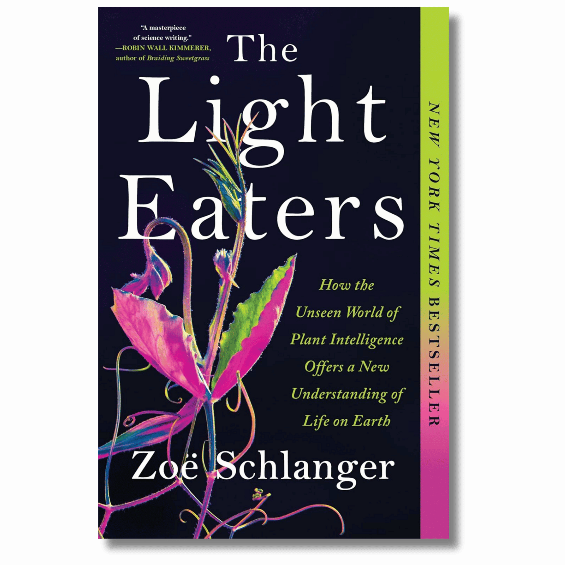 The Light Eaters: How the Unseen World of Plant Intelligence Offers a – The  ForestWatch Store