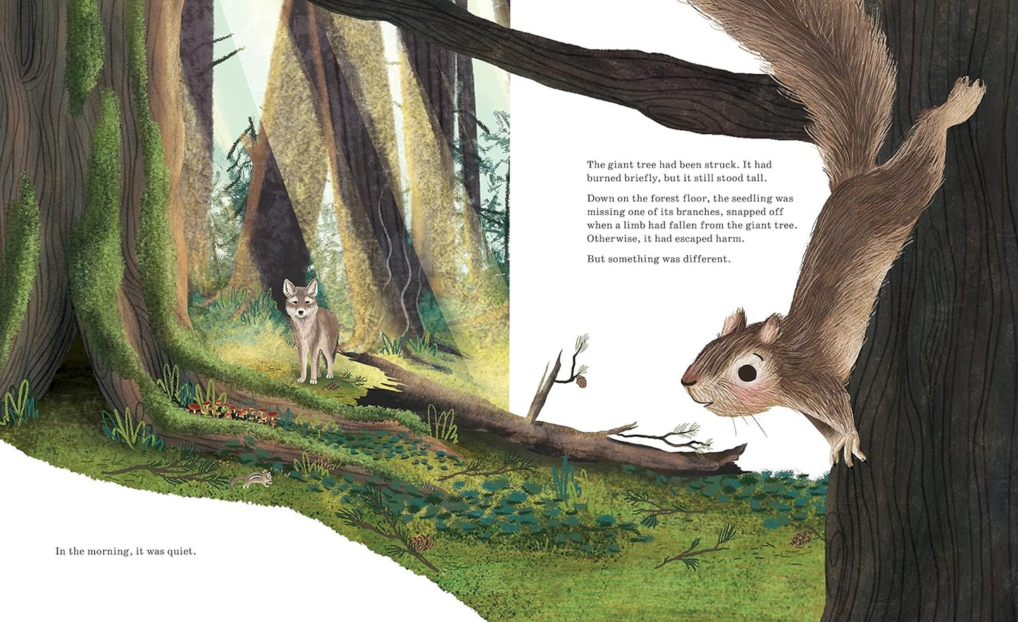 Listen to the Language of the Trees: A Story of How Forests Communicate Underground