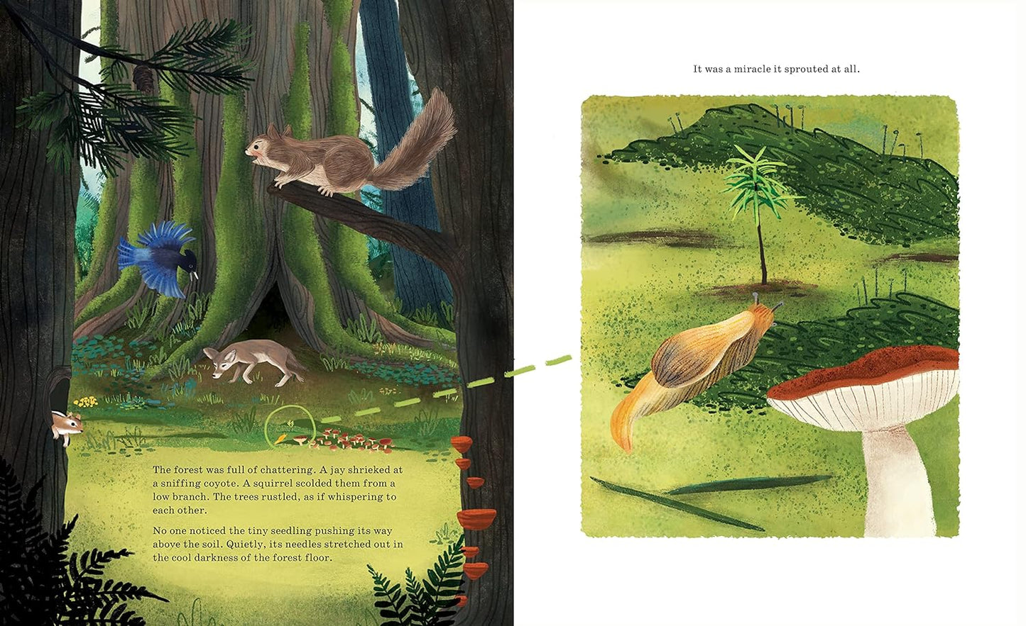 Listen to the Language of the Trees: A Story of How Forests Communicate Underground