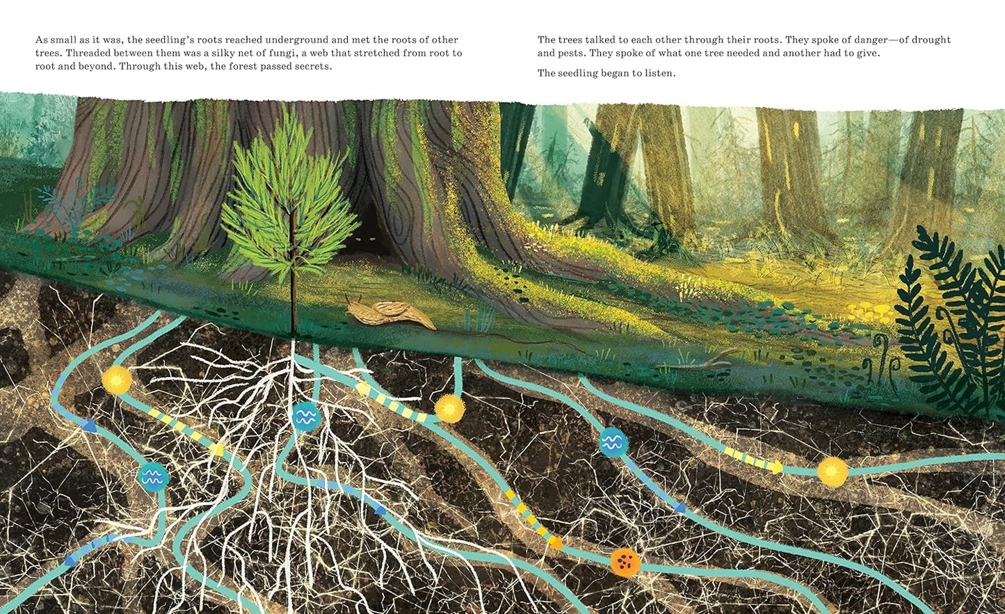 Listen to the Language of the Trees: A Story of How Forests Communicate Underground
