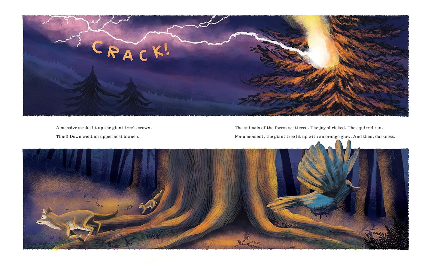 Listen to the Language of the Trees: A Story of How Forests Communicate Underground