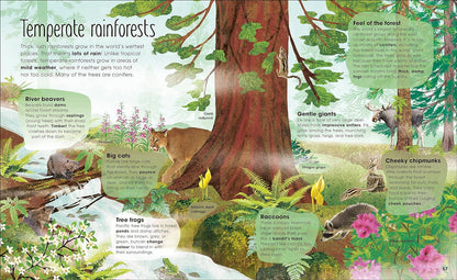 The Magic and Mystery of Trees