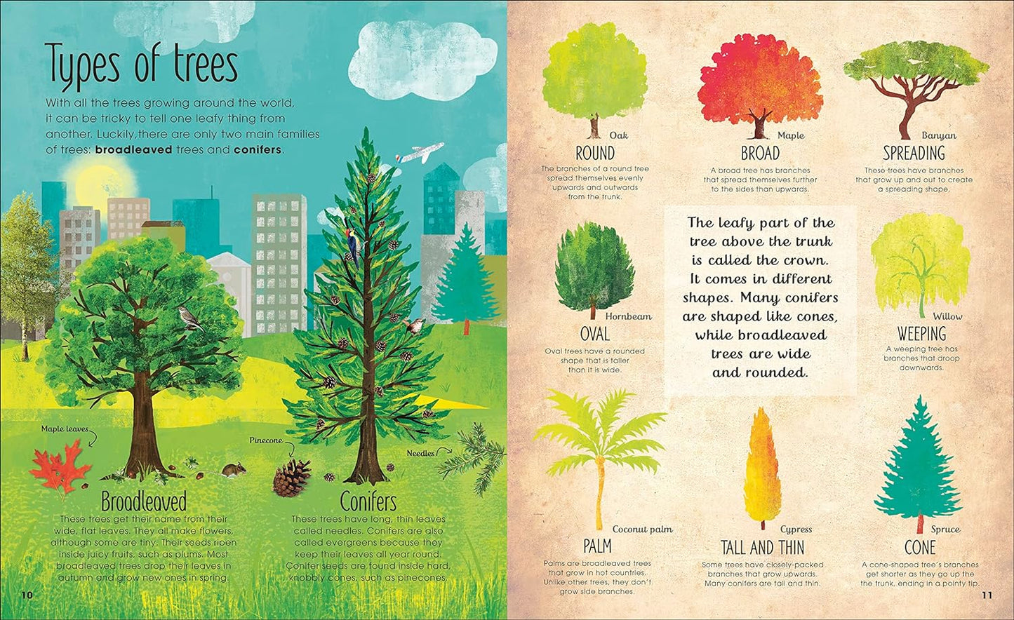 The Magic and Mystery of Trees