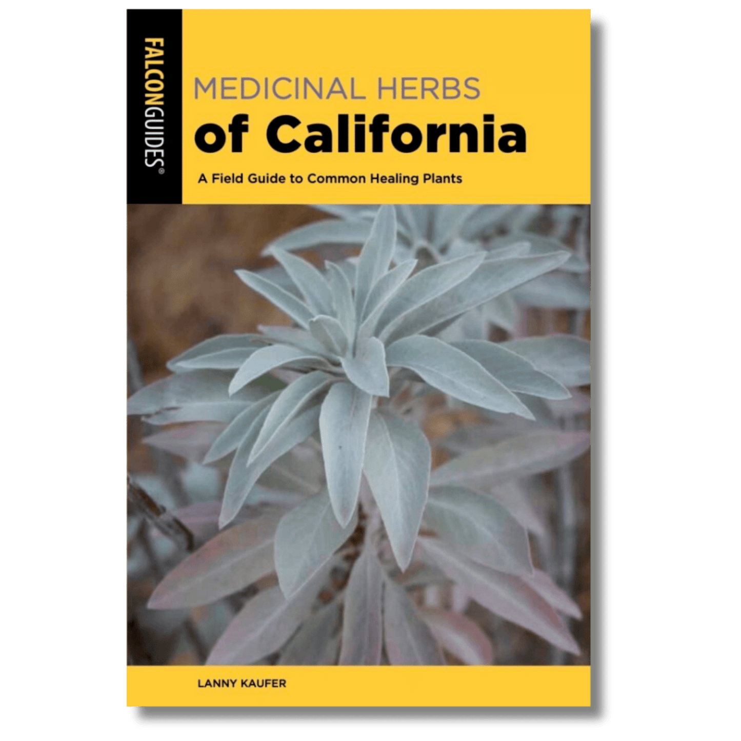 Medicinal Herbs of California: A Field Guide to Common Healing Plants (Local Author)