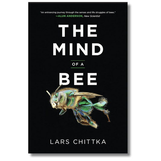 The Mind of a Bee