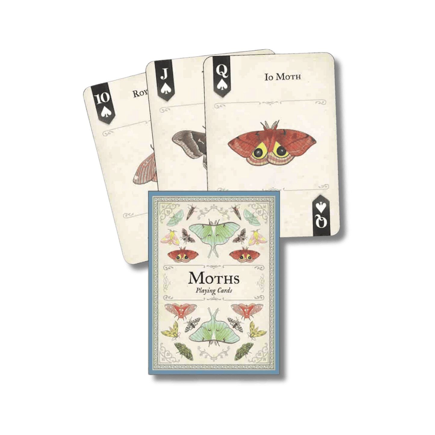 Moths Playing Cards