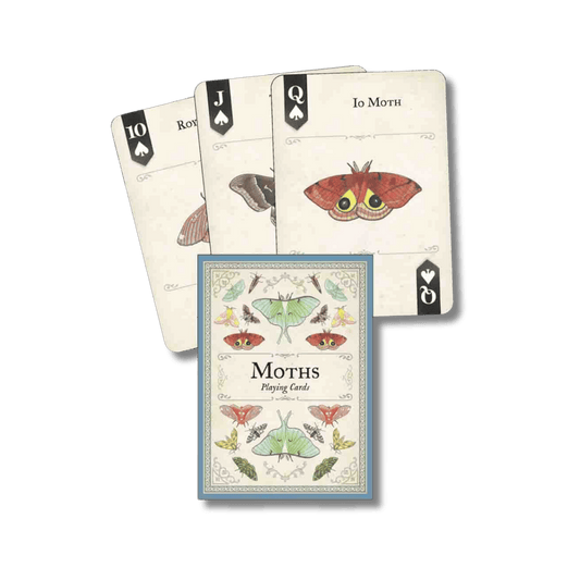 Moths Playing Cards