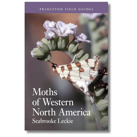 Moths of Western North America