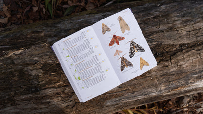 Moths of Western North America