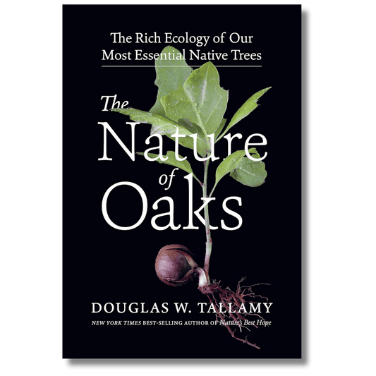 The Nature of Oaks: The Rich Ecology of Our Most Essential Native Trees
