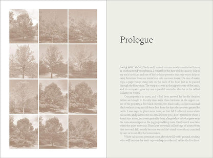 The Nature of Oaks: The Rich Ecology of Our Most Essential Native Trees