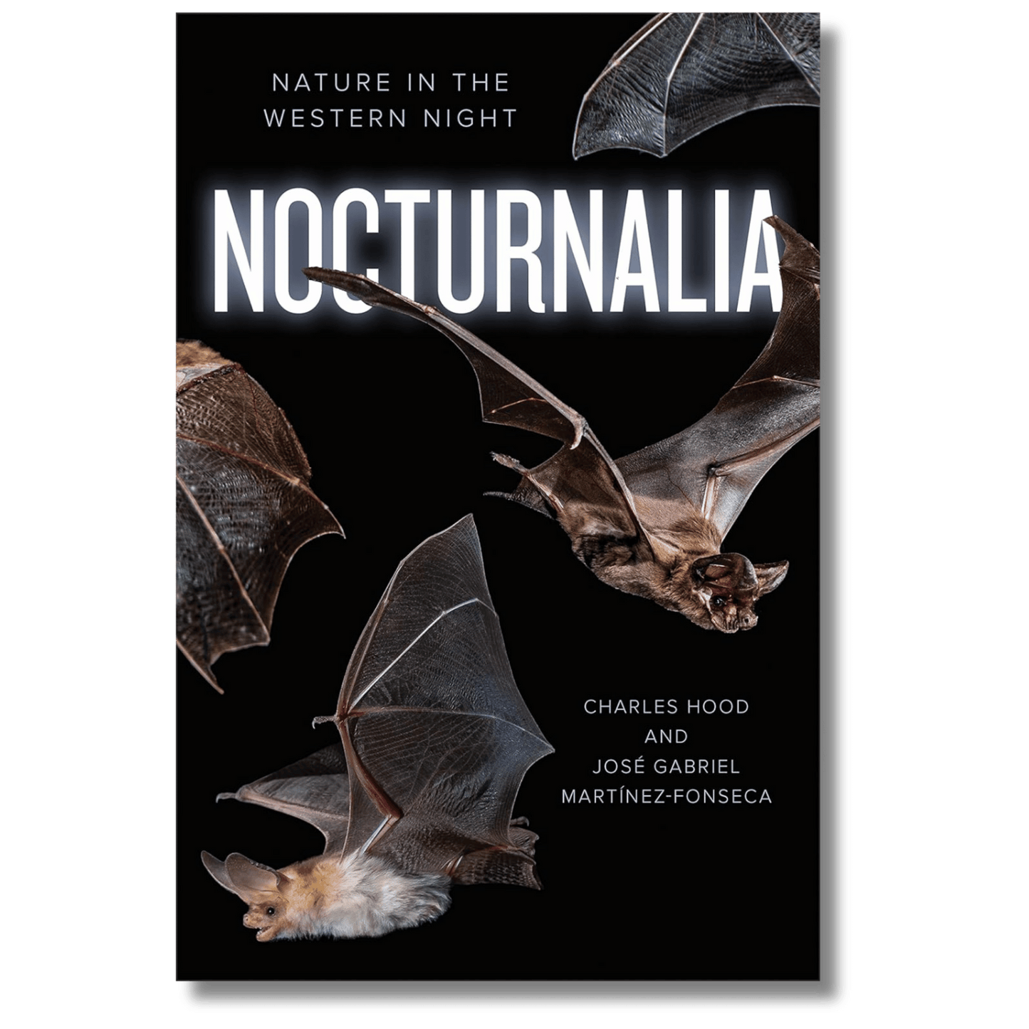 Nocturnalia: Nature in the Western Night