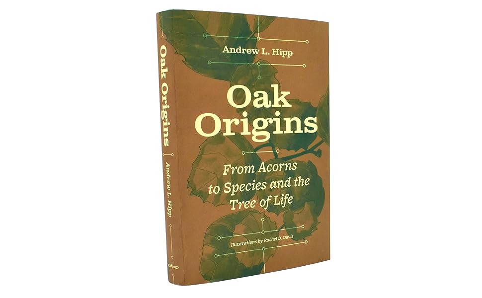 Oak Origins: From Acorns to Species and the Tree of Life