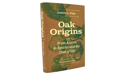 Oak Origins: From Acorns to Species and the Tree of Life